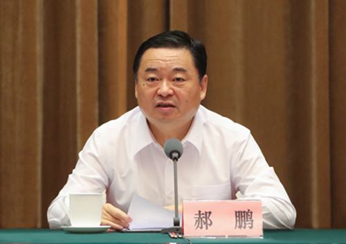 郝鵬、國資、央企、國資委、書記、主任、國企、企業改革